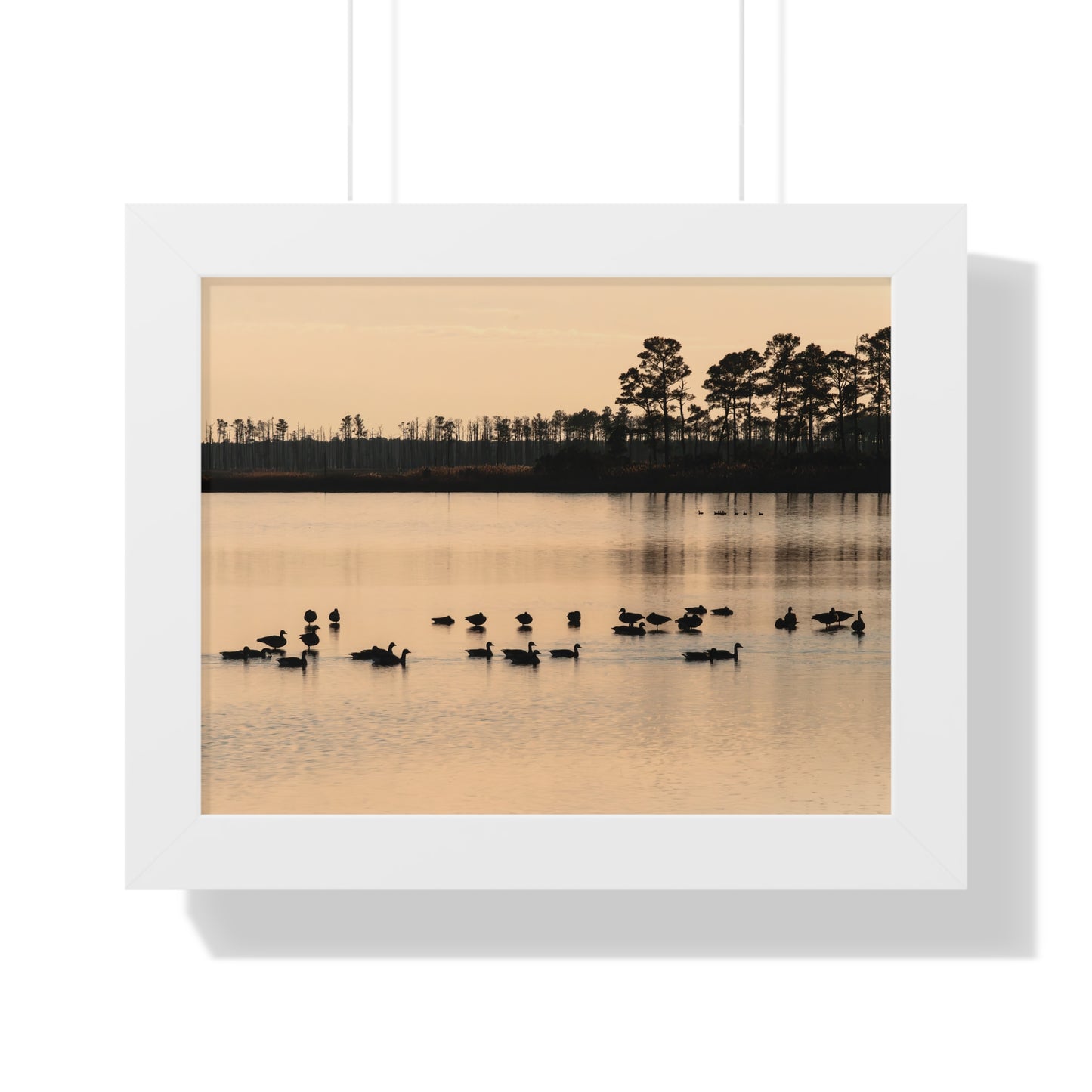Blackwater - Framed Print