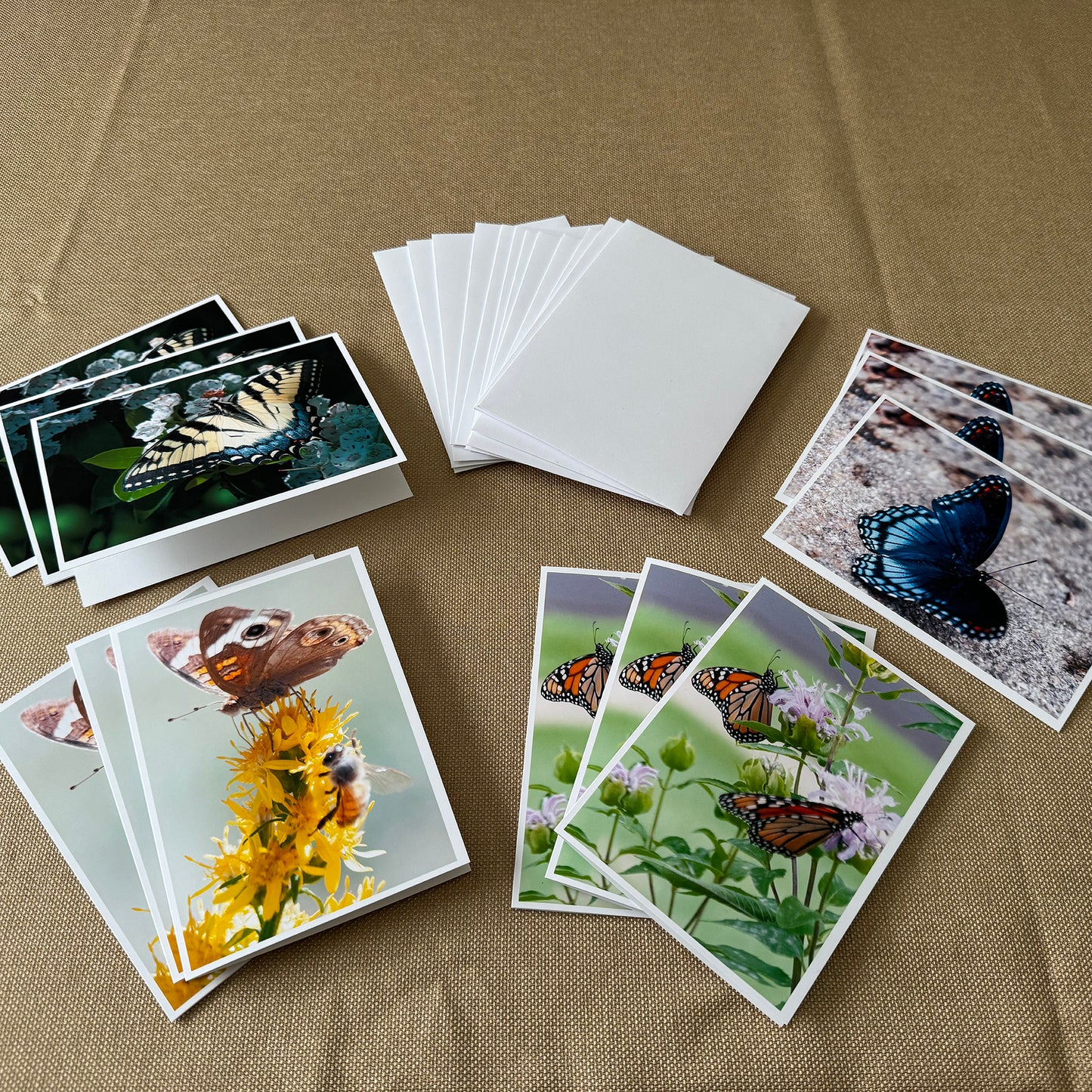 Butterfly Greeting Cards (Box of 12)