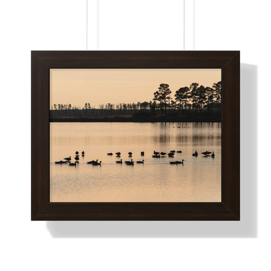 Blackwater - Framed Print
