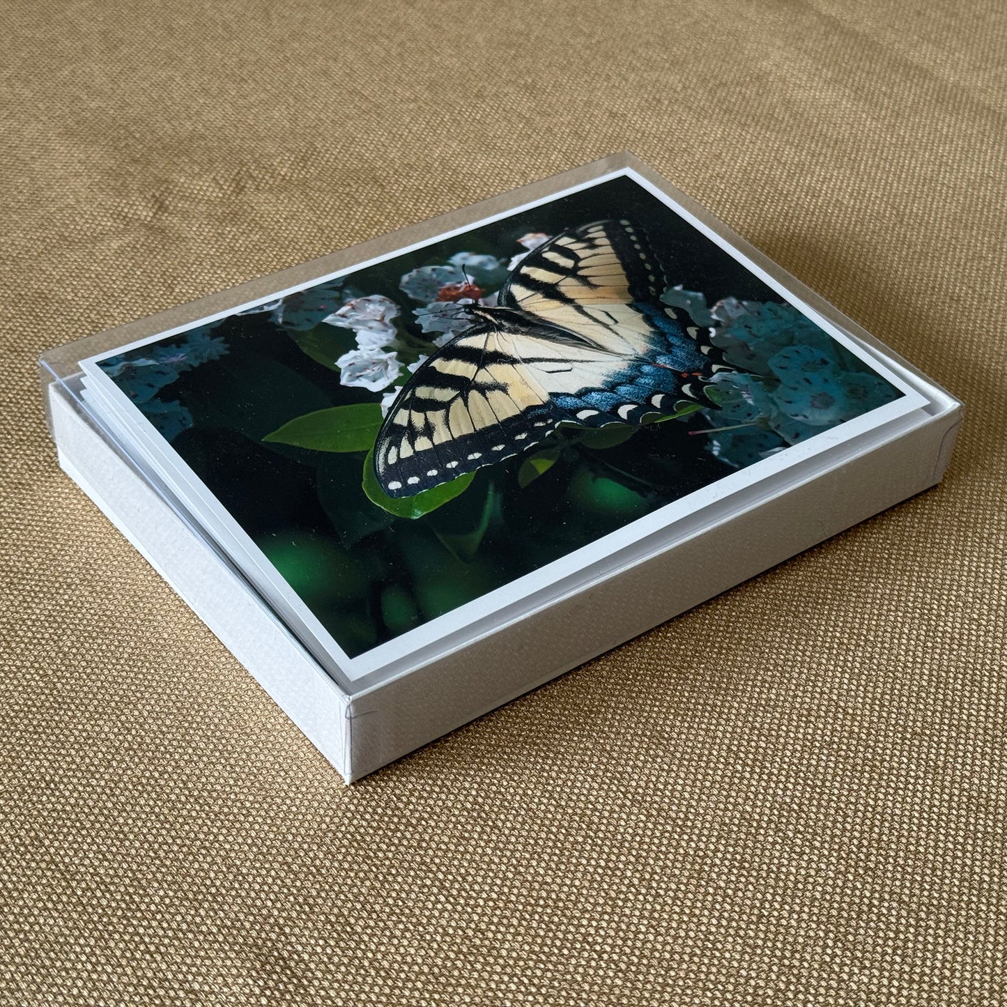 Butterfly Greeting Cards (Box of 12)