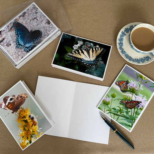 Butterfly Greeting Cards (Box of 12)