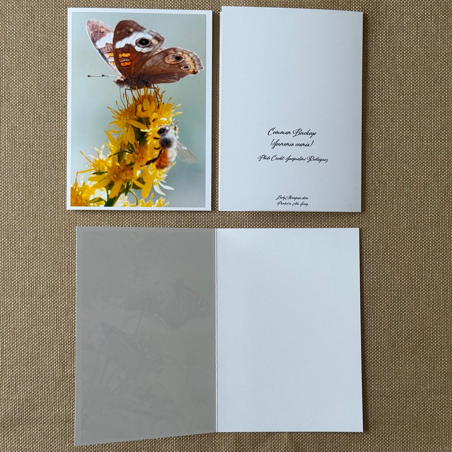 Butterfly Greeting Cards (Box of 12)