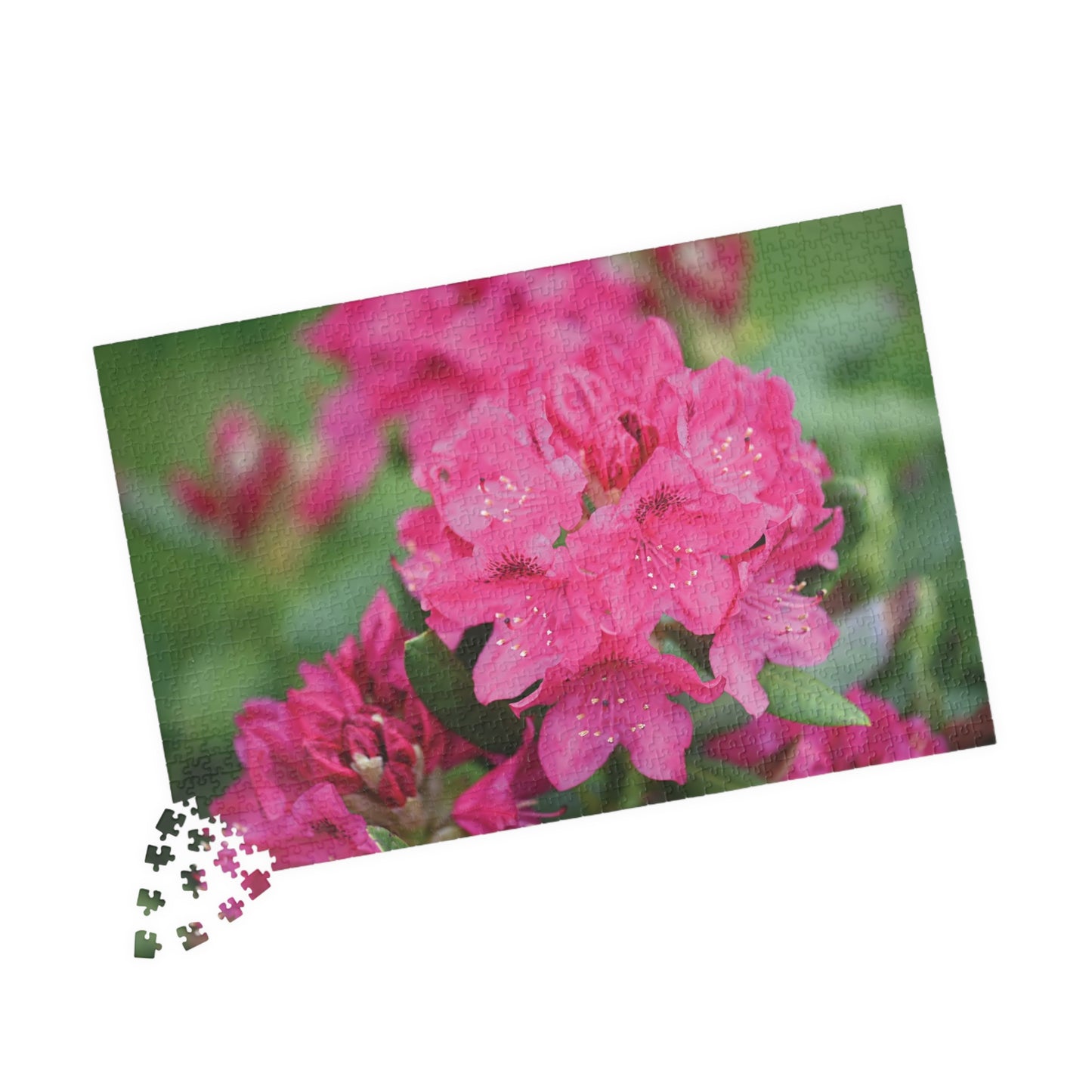 Azalea Blossoms Puzzle (1014-piece)