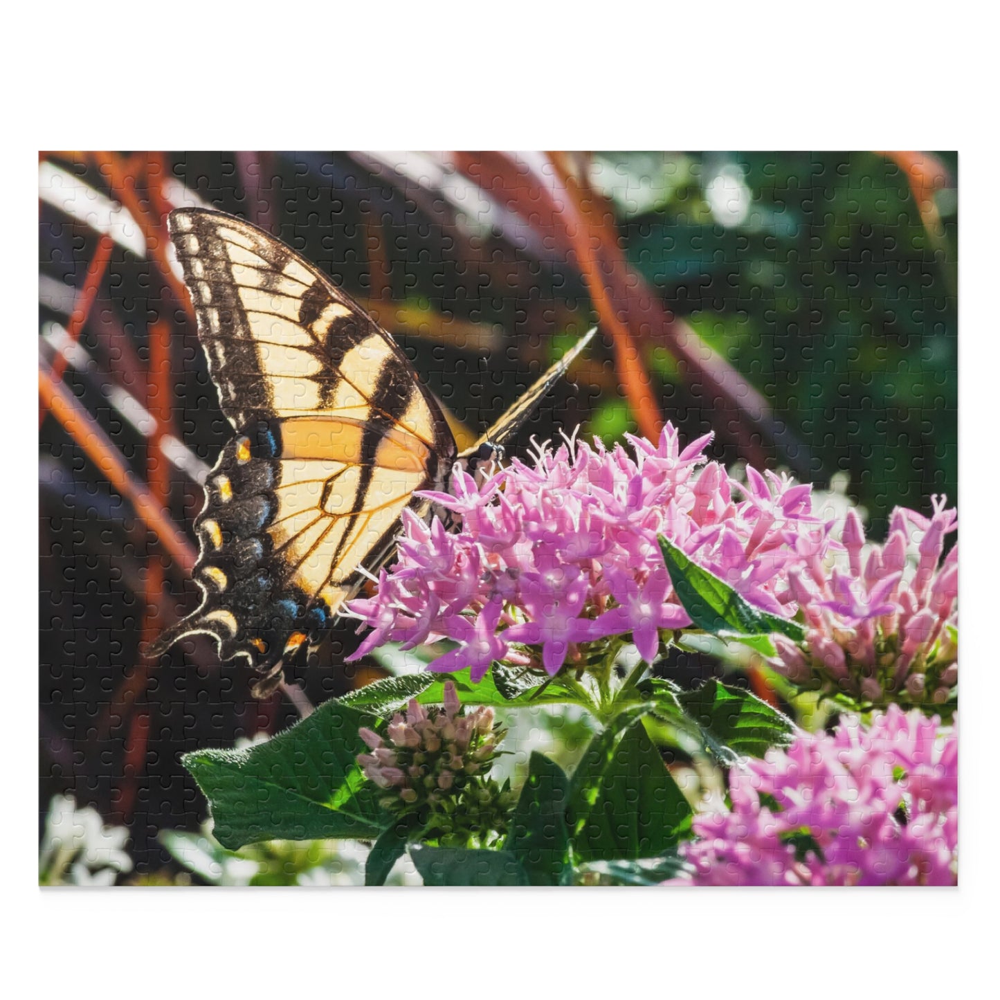 Tiger Swallowtail Puzzle (500-Piece)