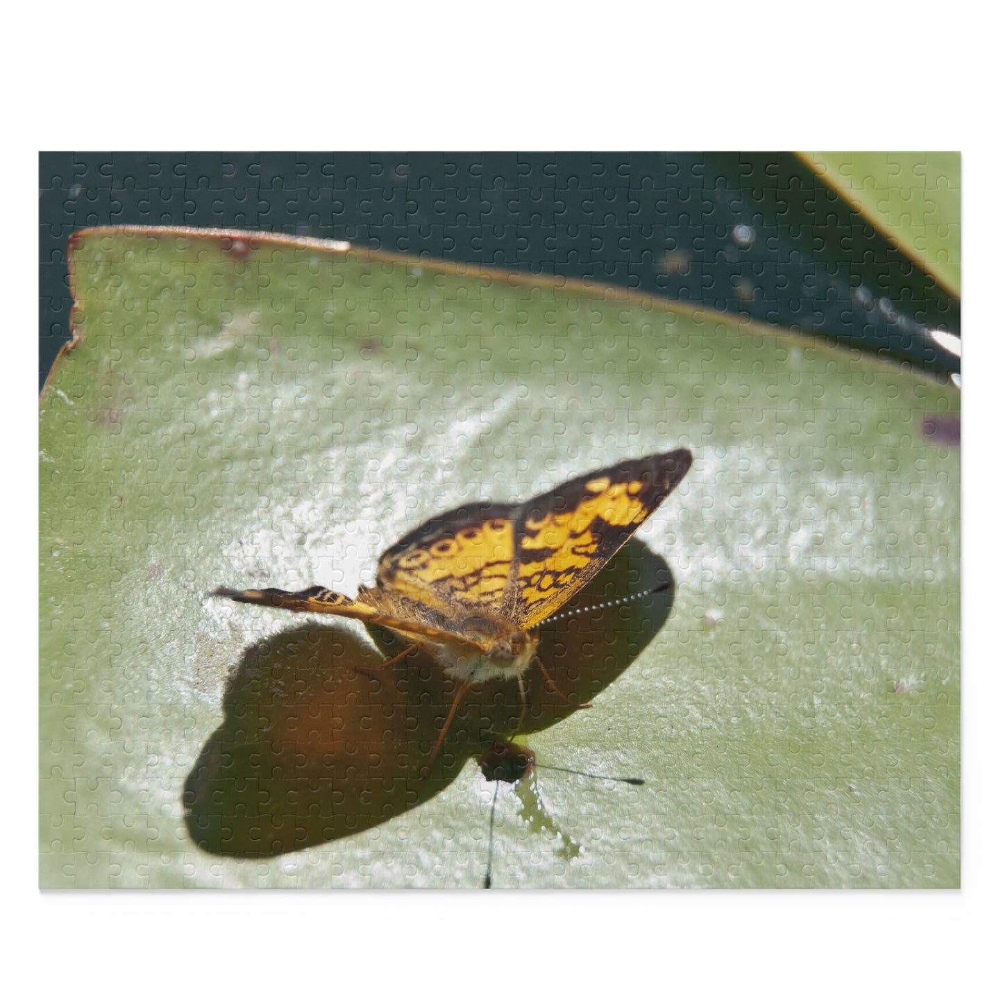 Pearl Crescent on a Water Lily Puzzle (500-Piece)